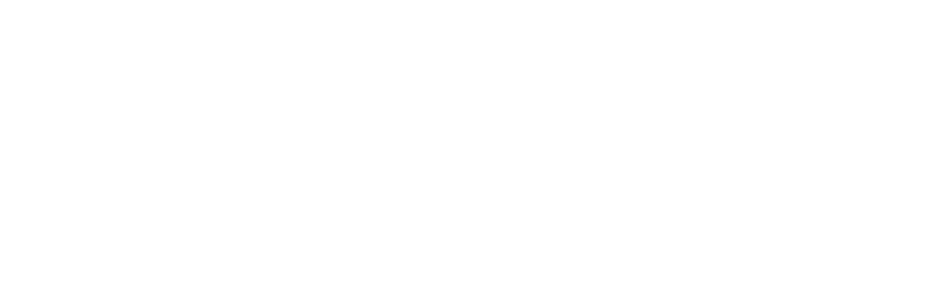 Lynk Capital